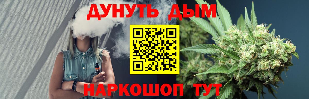 Бошки марихуана SATIVA & INDICA  Шишки марихуана план  Санкт-Петербург  Канабис конопля  Шишки марихуана марихуана  Вход с VPN 